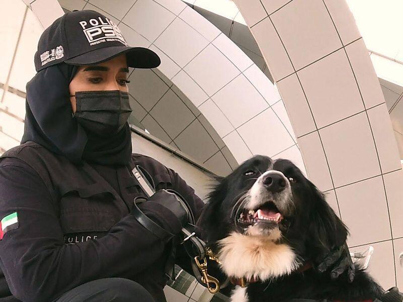 police dogs used to detect covid 19 cases in uae
