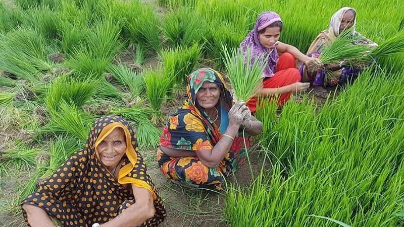 How much you have to contribute to get lifetime pension in PM shram Yogi Mandhan Yojna MJA