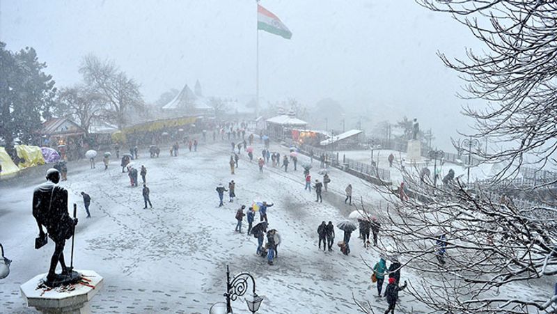 Himachal News, 5 tourists arrested for visiting Kullu without Kovid-19 report kpa