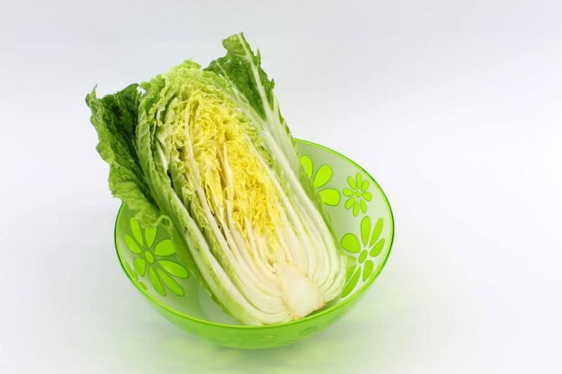 how to grow Chinese cabbage