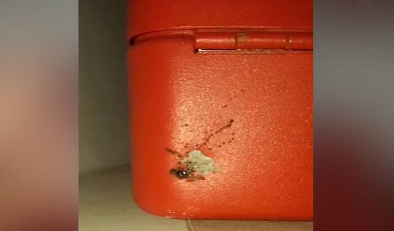 lincoln university male student hides iphone in red box hidden in bathroom capturing female friend bathing live to 15 other boys kph