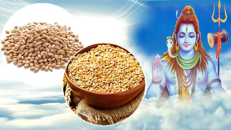 মহাদেব একটি নিঁখুত বেলপাতা ও বাতাসাতেই সন্তুষ্ট, তাই নিষ্ঠাভরে ওম নম শিবায় মন্ত্র জপ করুন, আর্থিক ও যাবতীয় সমস্যা দূর হবে।
