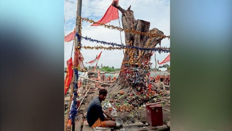 Story of two mysterious incidents from Haryana and Madhya pradesh kpa