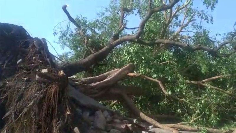 Story of two mysterious incidents from Haryana and Madhya pradesh kpa