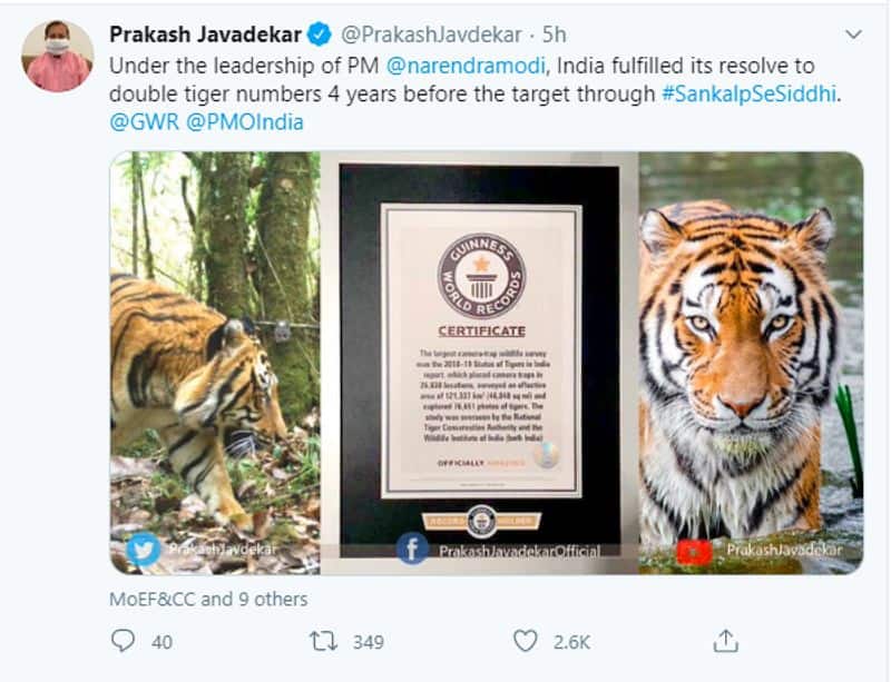 India 2018 Tiger Census sets a new Guinness World Record
