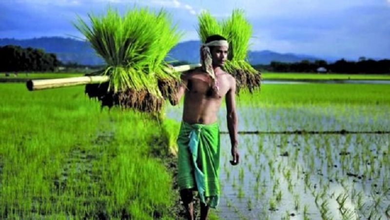 is your name in PM Kisan Samman nidhi Yojana you will get 2000 rupees for free BRD