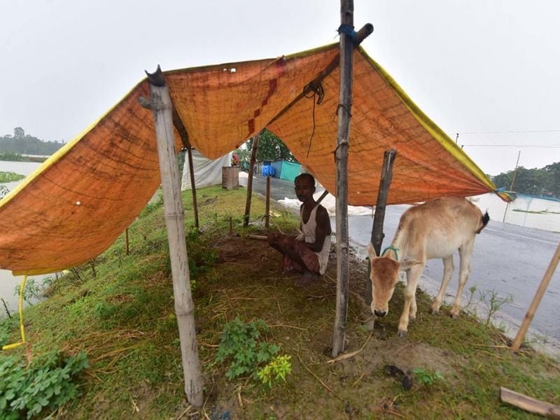 বন্যার কারণে ১.২১ লক্ষ গৃহপালিত পশু এবং ১.২৭ লক্ষ পোলট্রি ক্ষতিগ্রস্ত৷