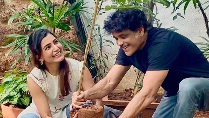 actress akkineni samantha receives green india challenge from nagarjuna actress akkineni samantha receives green india challenge from nagarjuna