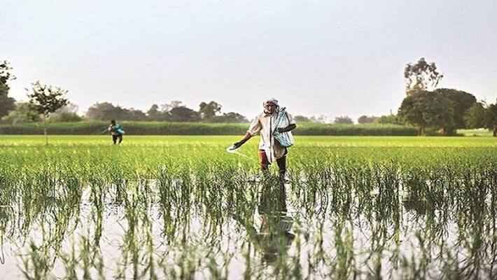 Anyone Can Buy Agriculture Land In Karnataka Ordinance Passed Anyone Can Buy Agriculture Land In Karnataka Ordinance Passed