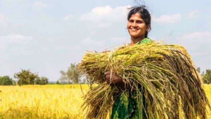 PM Kisan FPO Yojana 2020, farmers will get rs 15 lacs in this scheme of central government MJA