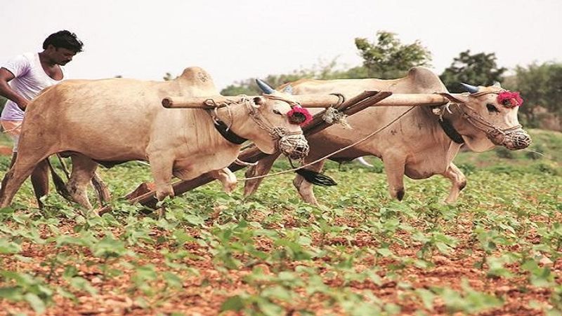 PM Kisan FPO Yojana 2020, farmers will get rs 15 lacs in this scheme of central government MJA