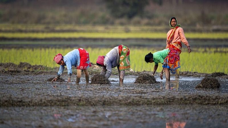 PM Kisan FPO Yojana 2020, farmers will get rs 15 lacs in this scheme of central government MJA
