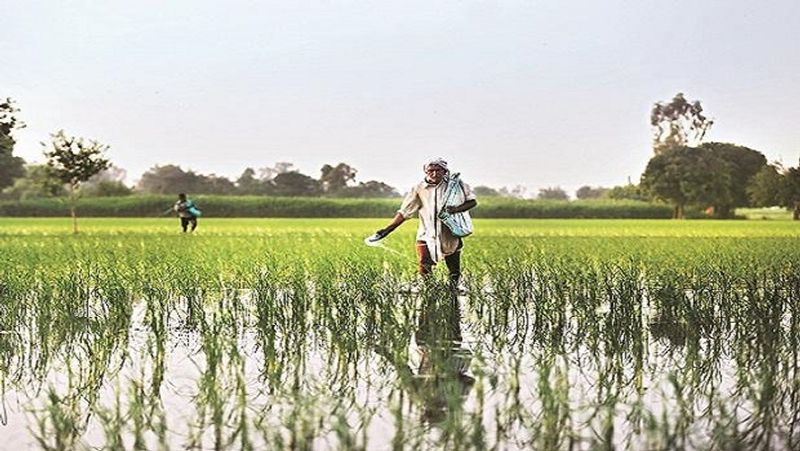 PM Kisan FPO Yojana 2020, farmers will get rs 15 lacs in this scheme of central government MJA