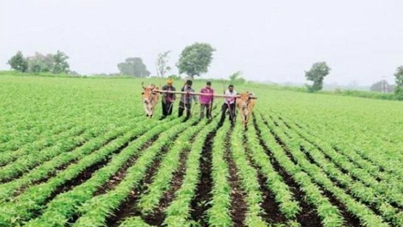 PM Kisan FPO Yojana 2020, farmers will get rs 15 lacs in this scheme of central government MJA