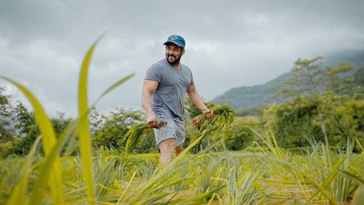 salman khan growing crops at panvel farm house photo viral KPJ salman khan growing crops at panvel farm house photo viral KPJ