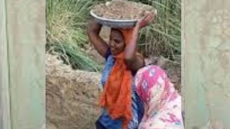 haryana news rohtak all india gold medalist player is poor financial condition running a labour charges kpr
