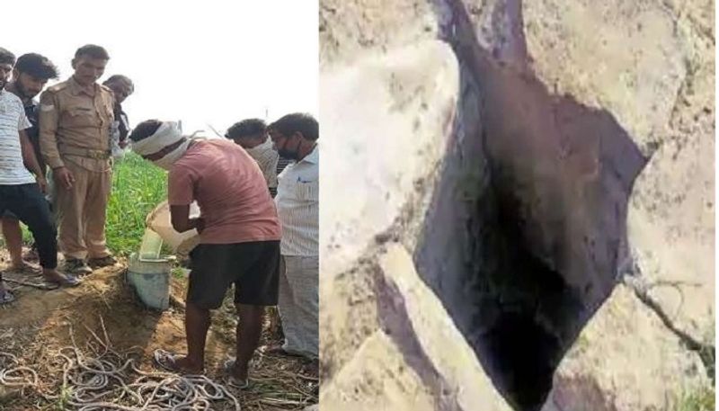Meerut Thrown dead body in boreal after killing friend asa