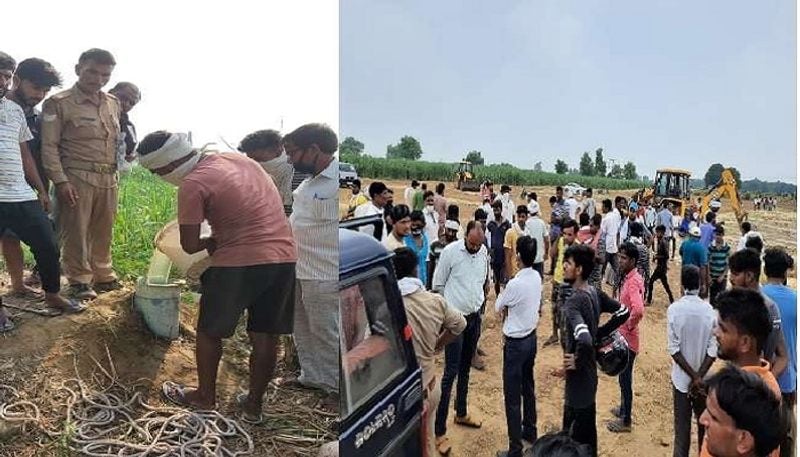 Meerut Thrown dead body in boreal after killing friend asa