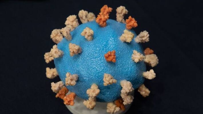 Coronavirus cases cross 30 thousand in andhra Pradesh, deaths reached to 365 Coronavirus cases cross 30 thousand in andhra Pradesh, deaths reached to 365