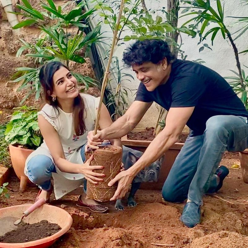 மாமனார், மருமகள் இருவரும் சேர்ந்து மரக்கன்றுகளை நடும் வீடியோவும் போட்டோவும் சோசியல் மீடியாவில் வெளியாகி வைரலானது. 