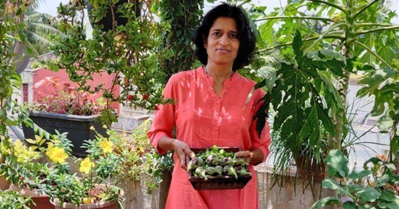 Pune Woman Grows Veggies in Terrace Garden Without Soil