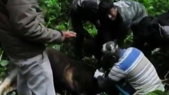 poaching gangs make troubles in kerala tamil nadu border poaching gangs make troubles in kerala tamil nadu border