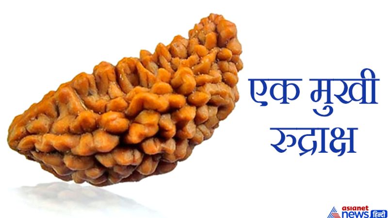 This object is very dear to Lord Shiva, wearing it pleases Goddess Lakshmi and you may have financial gains KPI
