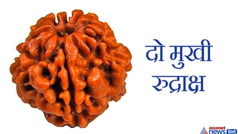 This object is very dear to Lord Shiva, wearing it pleases Goddess Lakshmi and you may have financial gains KPI