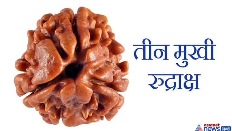 This object is very dear to Lord Shiva, wearing it pleases Goddess Lakshmi and you may have financial gains KPI