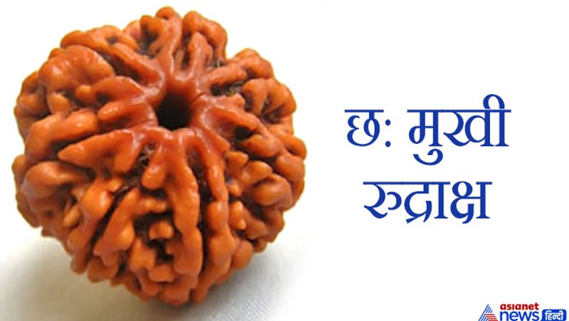 This object is very dear to Lord Shiva, wearing it pleases Goddess Lakshmi and you may have financial gains KPI