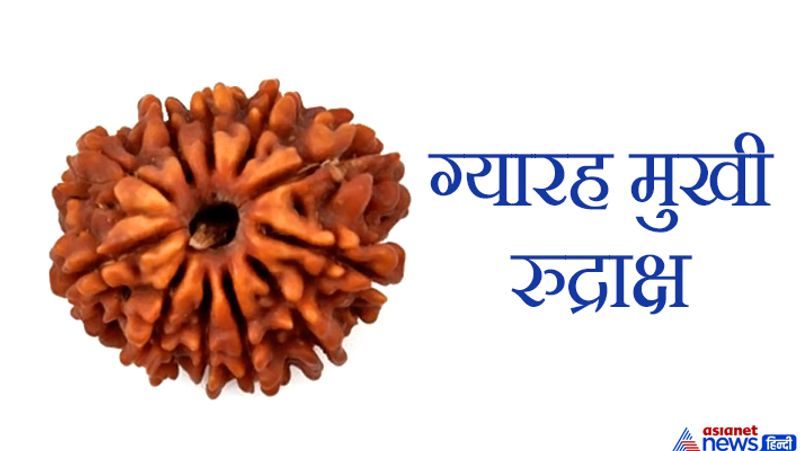 This object is very dear to Lord Shiva, wearing it pleases Goddess Lakshmi and you may have financial gains KPI