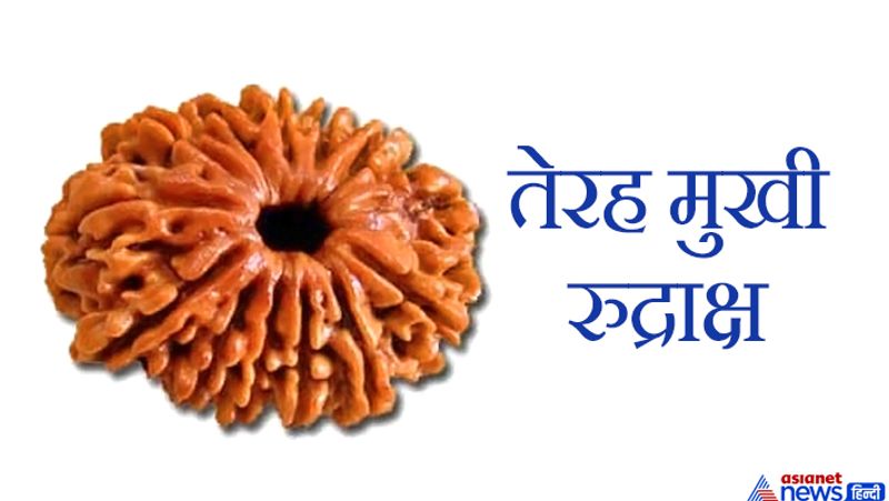 This object is very dear to Lord Shiva, wearing it pleases Goddess Lakshmi and you may have financial gains KPI