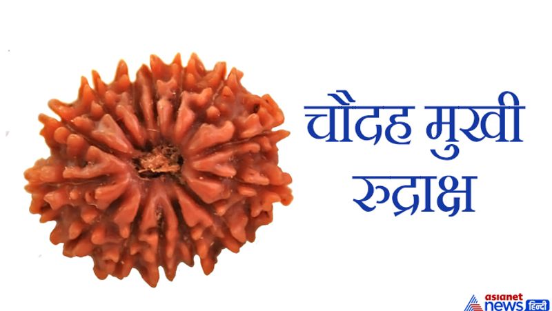 This object is very dear to Lord Shiva, wearing it pleases Goddess Lakshmi and you may have financial gains KPI