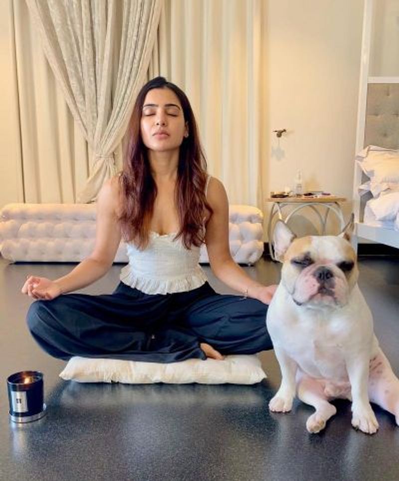 Actress Samantha and Naga Chaithanya lavish big house gallery