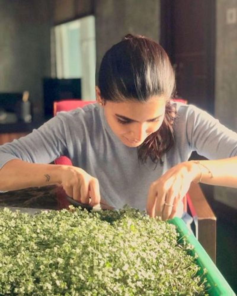 Actress Samantha and Naga Chaithanya lavish big house gallery