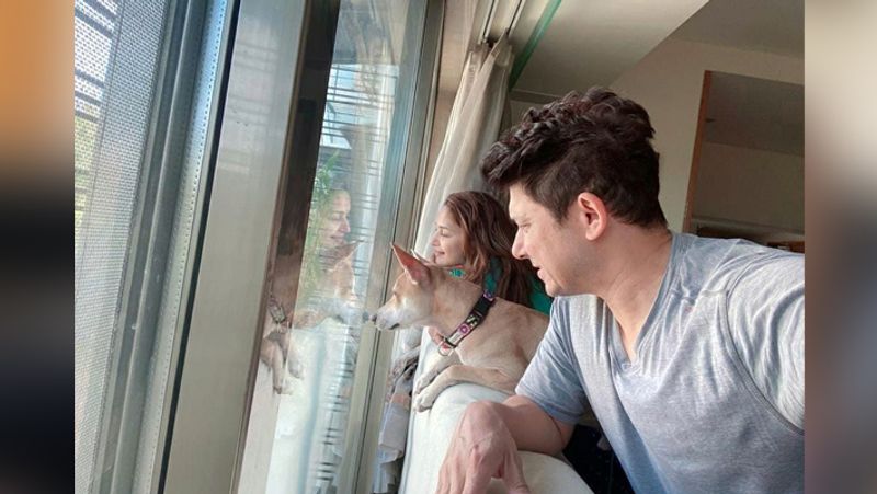 madhuri dixit beautiful luxurious house inside photos of celebrity house KPJ