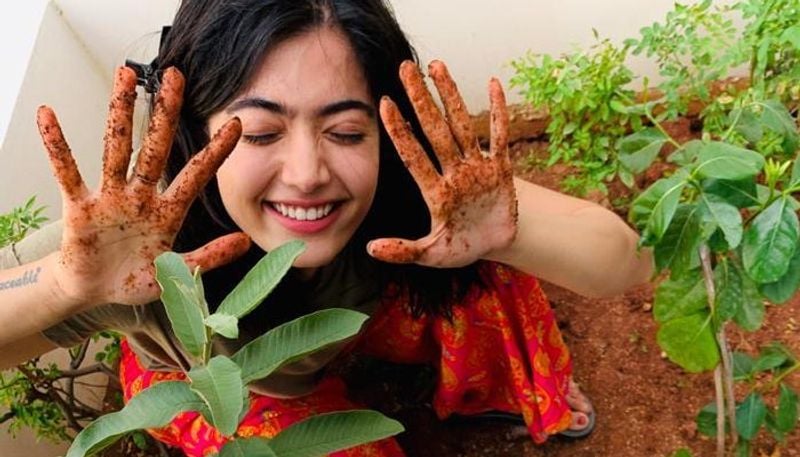 தற்போது சமந்தாவின் சவாலை ஏற்றுக்கொண்ட ராஷ்மிகா மந்தனா அவரது வீட்டு தோட்டத்தில் செடி ஒன்றை நட்டு வைத்துள்ளார். அந்த போட்டோவை தனது இன்ஸ்டாகிராம் பக்கத்தில் ஷேர் செய்துள்ள ராஷ்மிகா சமந்தாவிற்கு நன்றி தெரிவித்துள்ளார். 