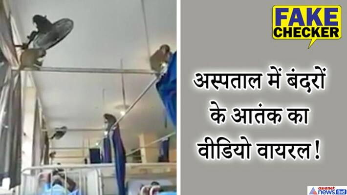 fake claim of monkey roaming in covid 19 hospital in india, know truth kpt fake claim of monkey roaming in covid 19 hospital in india, know truth kpt