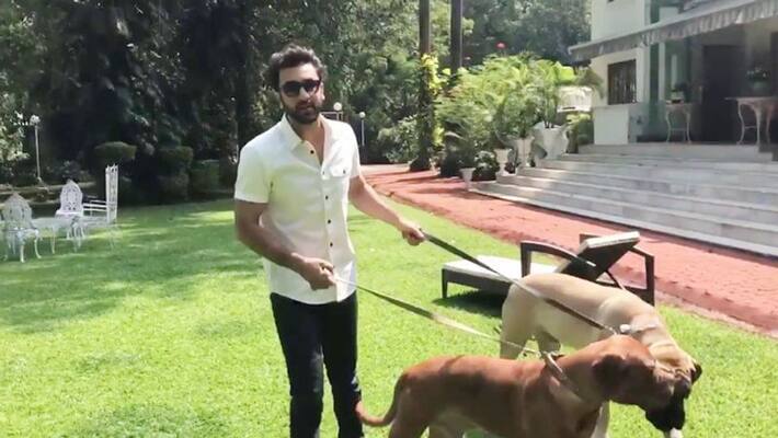ranbir kapoor got bitten by his pet dog visit to hospital recently KPJ ranbir kapoor got bitten by his pet dog visit to hospital recently KPJ