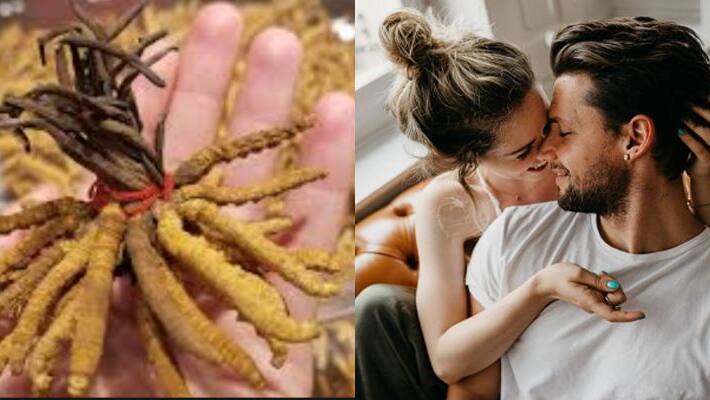 10 Amazing Health Benefits Of Himalayan Viagra 10 Amazing Health Benefits Of Himalayan Viagra