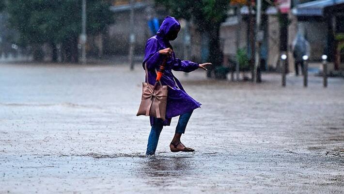 Heavy rain alert 7 districts...meteorological department Heavy rain alert 7 districts...meteorological department