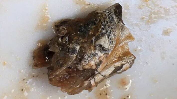 mother finds lizard head from chili sauce bottle bought from local market kph mother finds lizard head from chili sauce bottle bought from local market kph