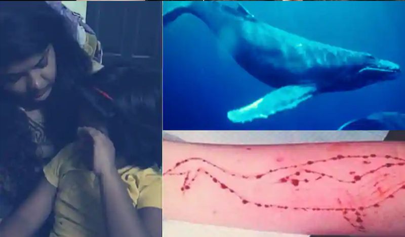 police issued warning as blue whale game again returned in lockdown encouraging teens to suicide kph