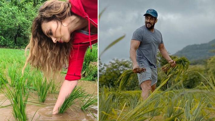 Salman khan's girlfriend iulia vantur planting rice Seeds in photos goes viral KPY Salman khan's girlfriend iulia vantur planting rice Seeds in photos goes viral KPY
