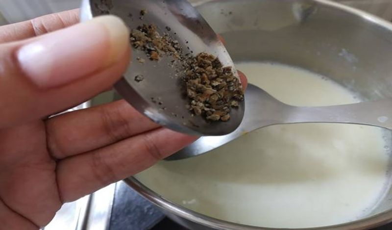 Bread Rasmalai Recipe: Instant and cheap bread rasmalai at home for 30 rupees instead of buying from market at 15 hundred per kg kph