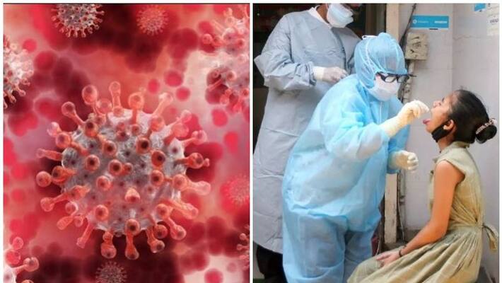 Coronavirus cases cross 40 thousand in Andhra pradeshm death toll 534 Coronavirus cases cross 40 thousand in Andhra pradeshm death toll 534