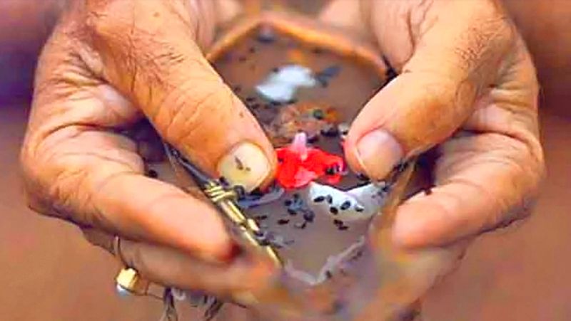 To avoid the inauspicious effects of Pitra dosha, do any one of these 7 remedies on July 20 KPI