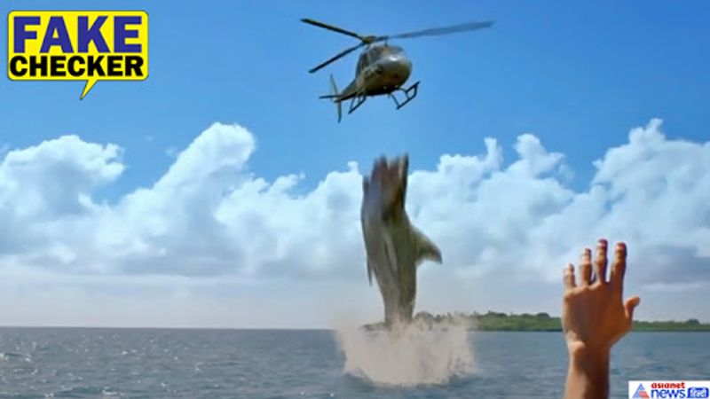 shark attack on helicopter movie clip viral as real incident know truth kpt