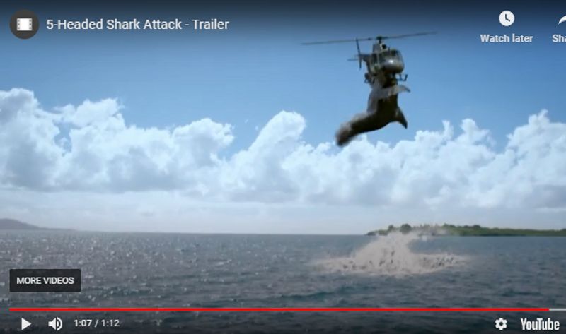 shark attack on helicopter movie clip viral as real incident know truth kpt
