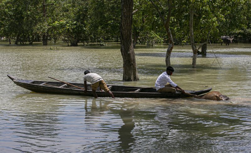 Assam floods 108 animals die at Kaziranga National Park KPP